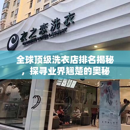 全球顶级洗衣店排名揭秘，探寻业界翘楚的奥秘