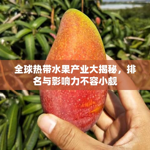全球热带水果产业大揭秘，排名与影响力不容小觑