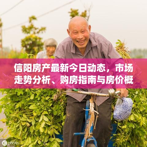 信阳房产最新今日动态，市场走势分析、购房指南与房价概览