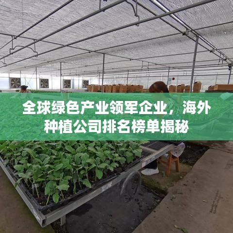 全球绿色产业领军企业，海外种植公司排名榜单揭秘