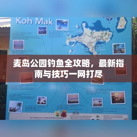 麦岛公园钓鱼全攻略，最新指南与技巧一网打尽
