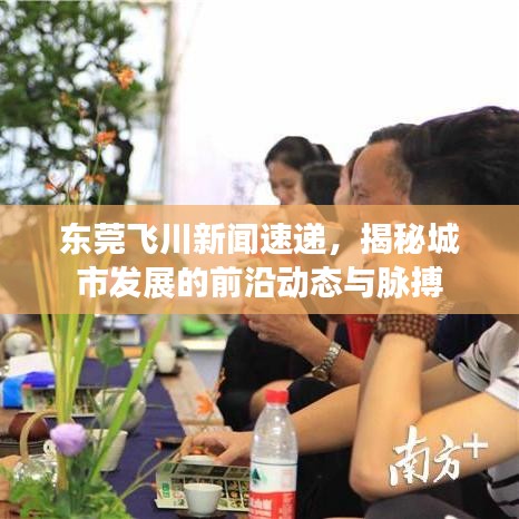 东莞飞川新闻速递，揭秘城市发展的前沿动态与脉搏