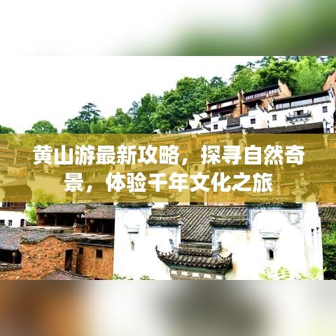 黄山游最新攻略，探寻自然奇景，体验千年文化之旅