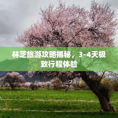 林芝旅游攻略揭秘，3-4天极致行程体验