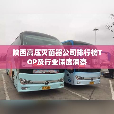 陕西高压灭菌器公司排行榜TOP及行业深度洞察