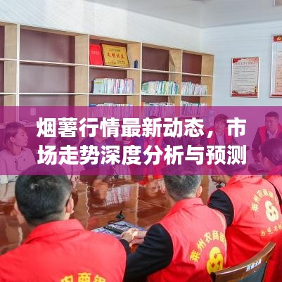 烟薯行情最新动态，市场走势深度分析与预测