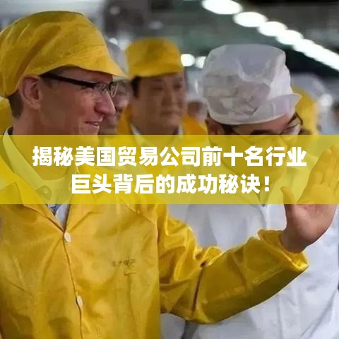 揭秘美国贸易公司前十名行业巨头背后的成功秘诀！