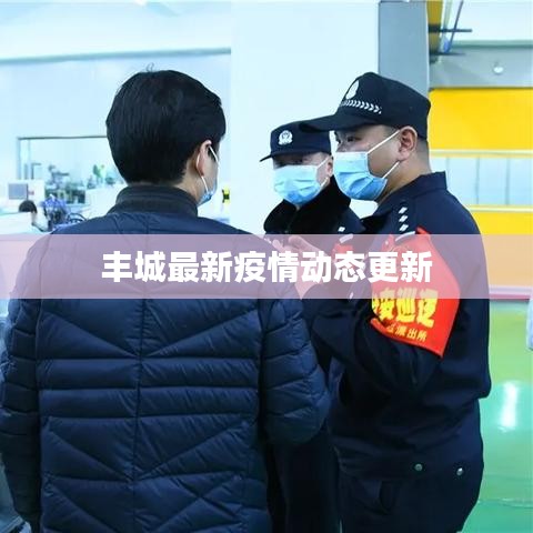 丰城最新疫情动态更新