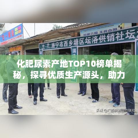 化肥尿素产地TOP10榜单揭秘，探寻优质生产源头，助力农业高效发展！