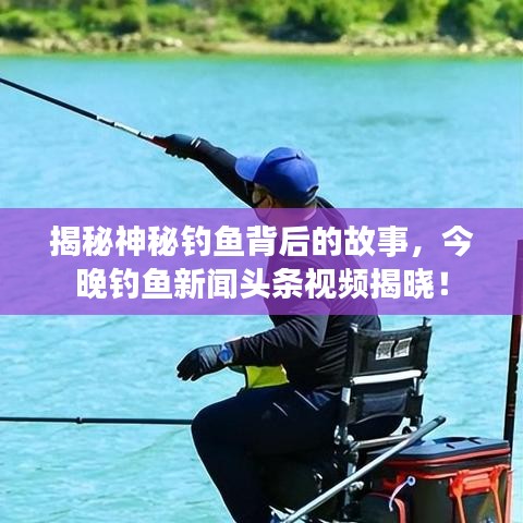 揭秘神秘钓鱼背后的故事，今晚钓鱼新闻头条视频揭晓！