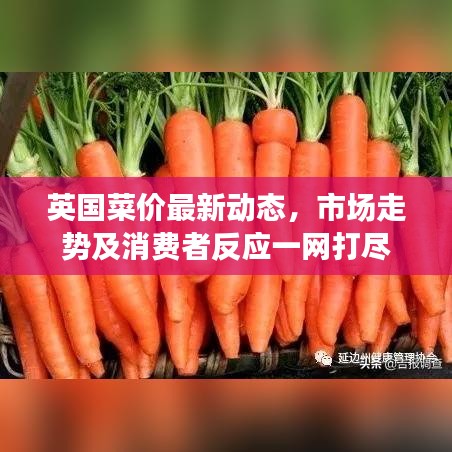英国菜价最新动态，市场走势及消费者反应一网打尽
