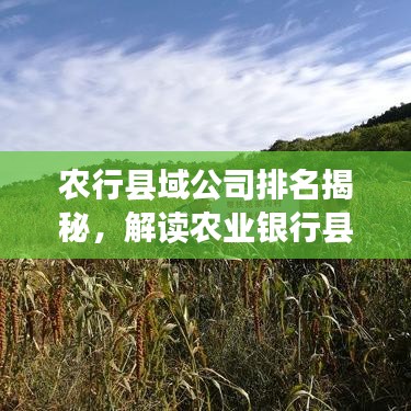 农行县域公司排名揭秘，解读农业银行县域发展的实力版图