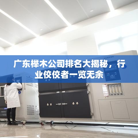 广东榉木公司排名大揭秘，行业佼佼者一览无余