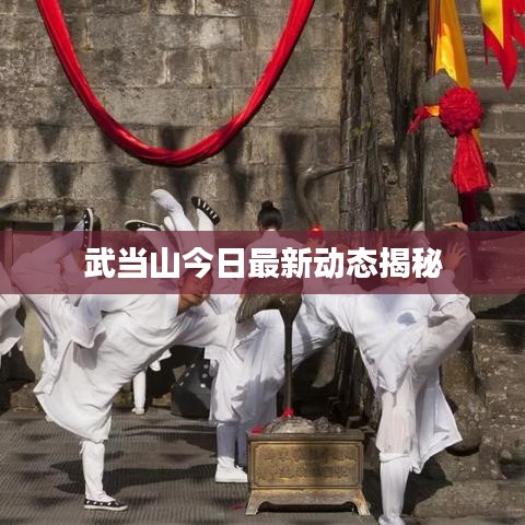 武当山今日最新动态揭秘