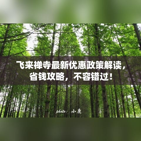 飞来禅寺最新优惠政策解读，省钱攻略，不容错过！