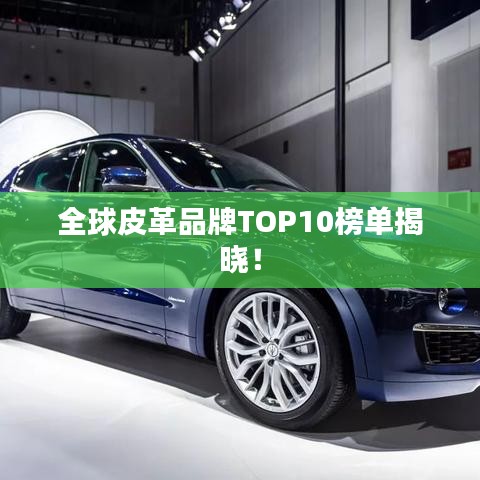 全球皮革品牌TOP10榜单揭晓！
