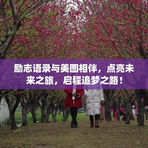 励志语录与美图相伴，点亮未来之旅，启程追梦之路！