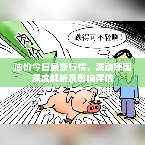油价今日最新行情，波动原因深度解析及影响评估