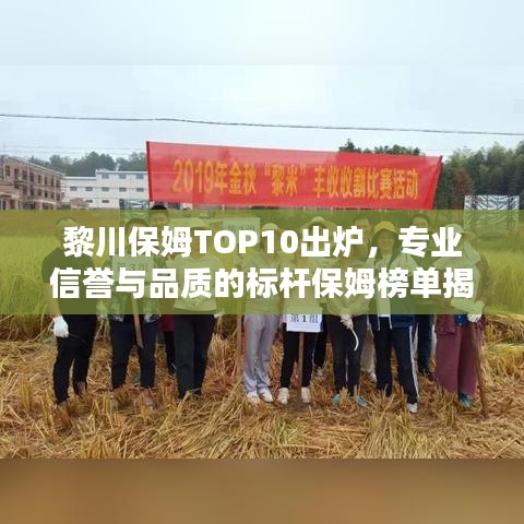 黎川保姆TOP10出炉，专业信誉与品质的标杆保姆榜单揭晓！