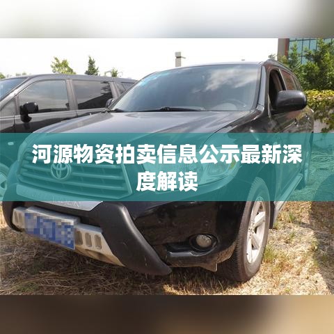 河源物资拍卖信息公示最新深度解读