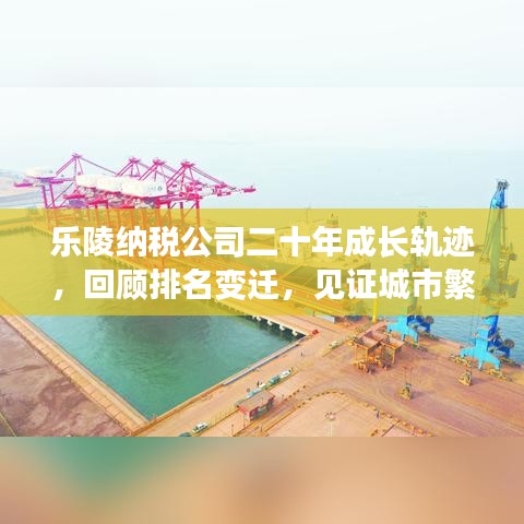 乐陵纳税公司二十年成长轨迹，回顾排名变迁，见证城市繁荣崛起