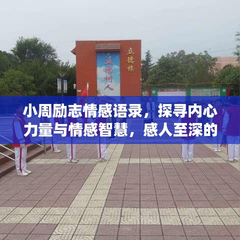 小周励志情感语录，探寻内心力量与情感智慧，感人至深的话语大全