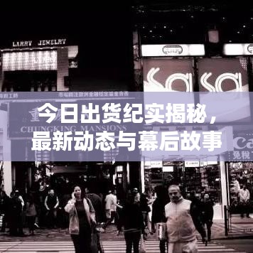 今日出货纪实揭秘，最新动态与幕后故事