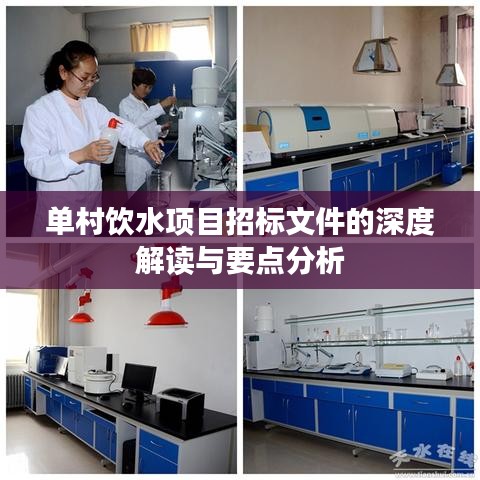 单村饮水项目招标文件的深度解读与要点分析