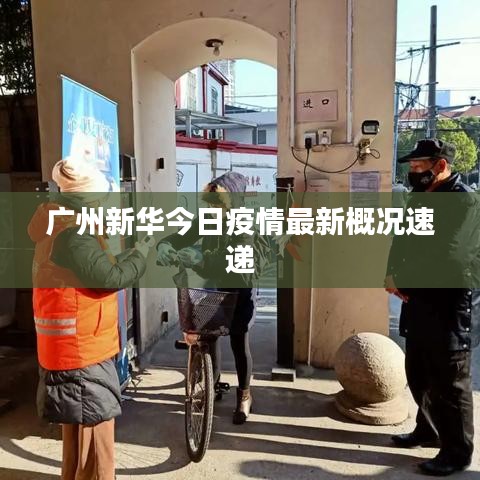 广州新华今日疫情最新概况速递
