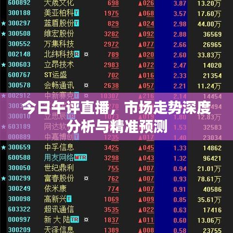 今日午评直播，市场走势深度分析与精准预测