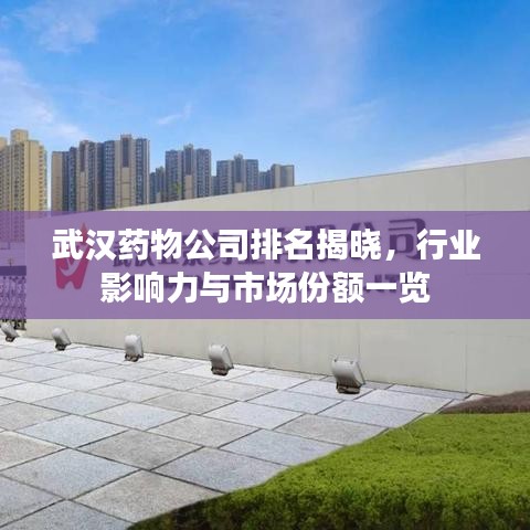 武汉药物公司排名揭晓，行业影响力与市场份额一览
