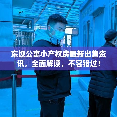 东坝公寓小产权房最新出售资讯，全面解读，不容错过！