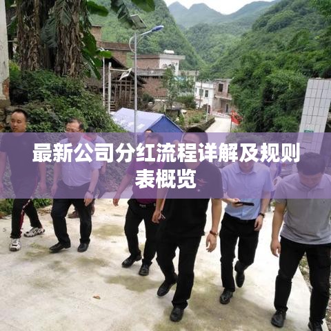 最新公司分红流程详解及规则表概览
