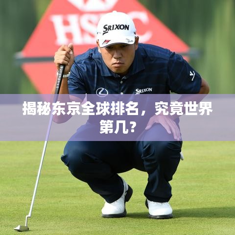 第313页