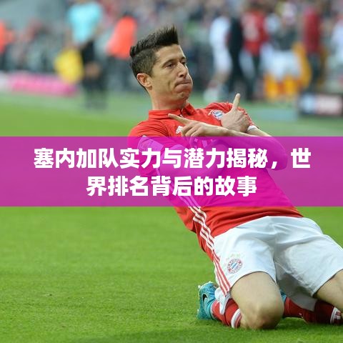 塞内加队实力与潜力揭秘，世界排名背后的故事