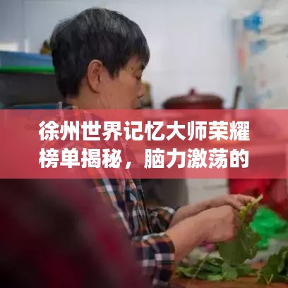 徐州世界记忆大师荣耀榜单揭秘，脑力激荡的战场传奇