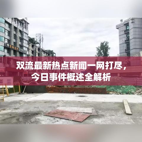 双流最新热点新闻一网打尽，今日事件概述全解析