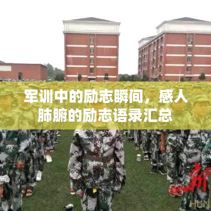 军训中的励志瞬间，感人肺腑的励志语录汇总