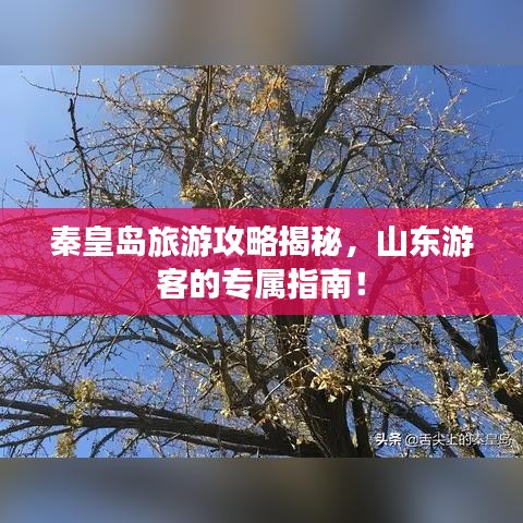 秦皇岛旅游攻略揭秘，山东游客的专属指南！