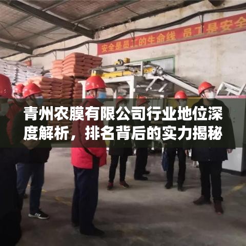 青州农膜有限公司行业地位深度解析，排名背后的实力揭秘