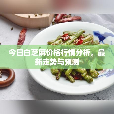 今日白芝麻价格行情分析，最新走势与预测