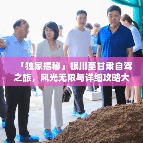 2025年5月15日