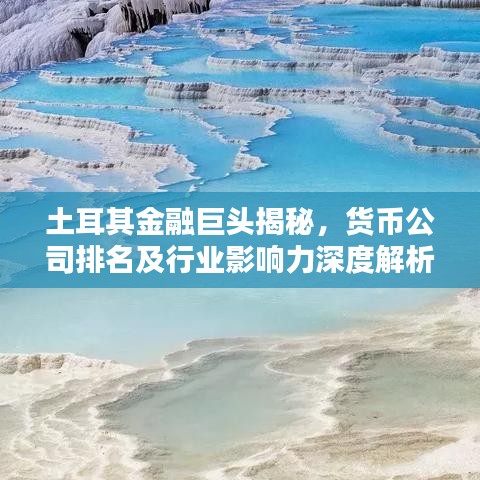 土耳其金融巨头揭秘，货币公司排名及行业影响力深度解析
