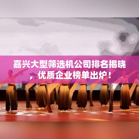嘉兴大型筛选机公司排名揭晓，优质企业榜单出炉！