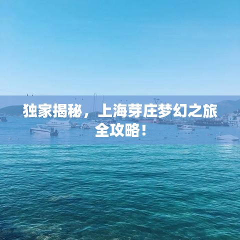 独家揭秘，上海芽庄梦幻之旅全攻略！