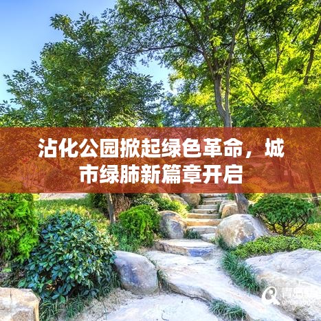 沾化公园掀起绿色革命，城市绿肺新篇章开启