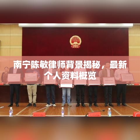 南宁陈敏律师背景揭秘，最新个人资料概览
