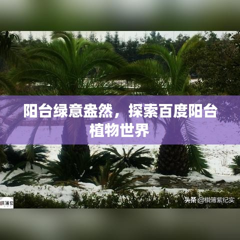阳台绿意盎然，探索百度阳台植物世界