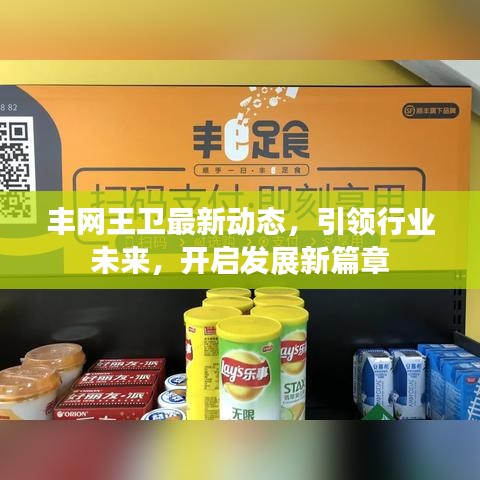 丰网王卫最新动态，引领行业未来，开启发展新篇章