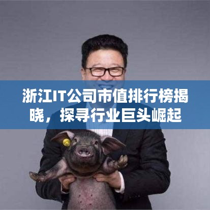 浙江IT公司市值排行榜揭晓，探寻行业巨头崛起之路